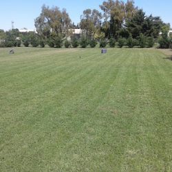 Negocio Todo Jardines