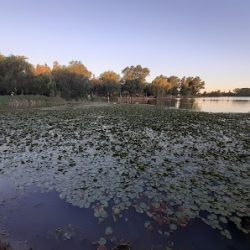 Negocio Vecinal Peyrano