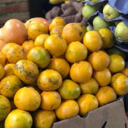 Negocio VerdulerÍa Y EnsalderÍa Fernandito