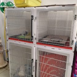 Negocio Veterinaria Casas