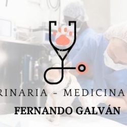 Negocio Veterinaria - Medicina Móvil Fernando Galván