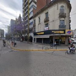 Negocio Vivero Arboles En Bicicleta