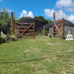 Negocio Vivero El Tocon